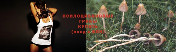 мяу мяу мука Мегион