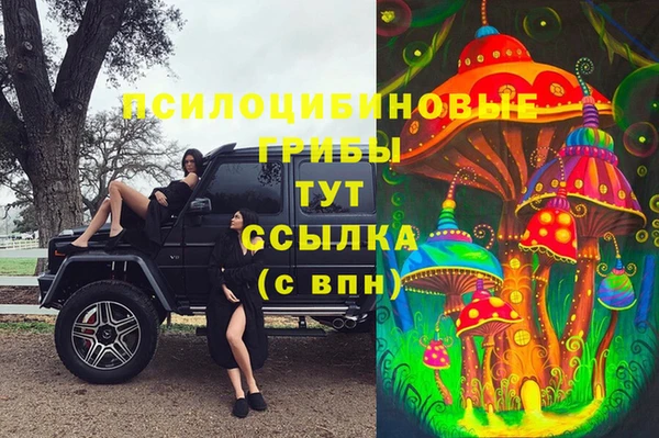 мяу мяу мука Медвежьегорск
