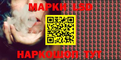 2c-b Камышлов