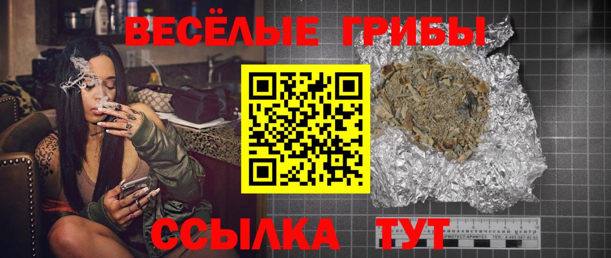 Галлюциногенные грибы Psilocybine cubensis  Новокубанск 
