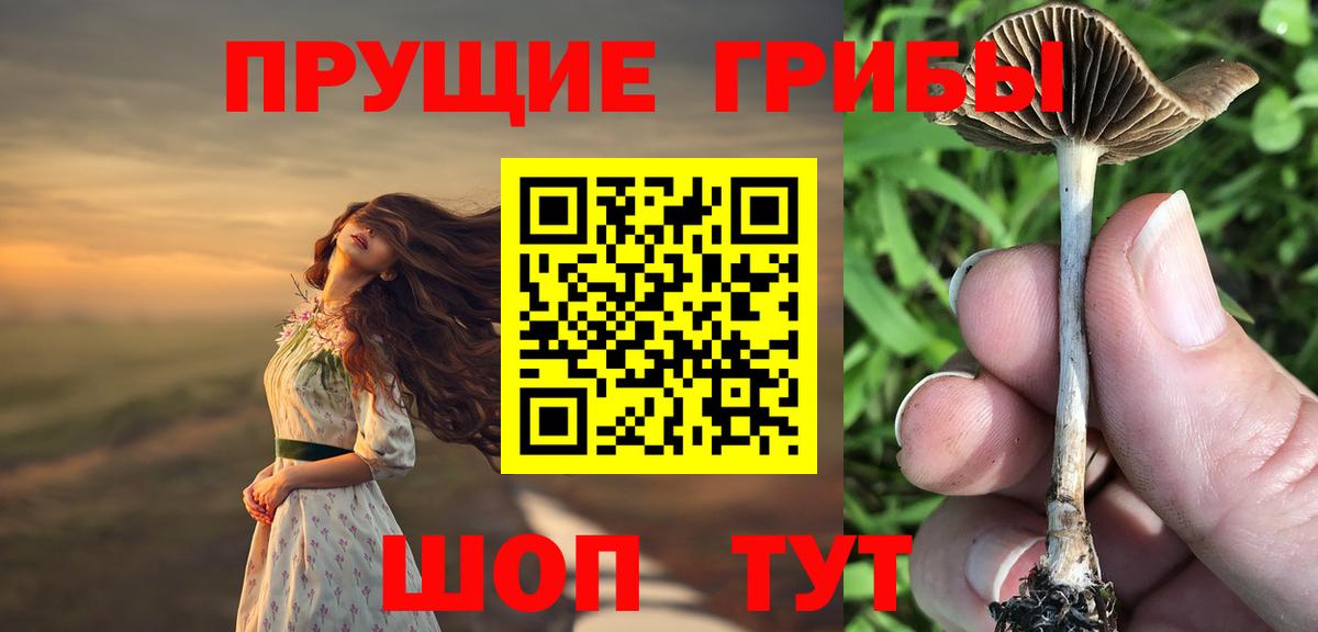 Галлюциногенные грибы Psilocybine cubensis  Псилоцибиновые грибы Psilocybine cubensis  Вход с VPN  Новокубанск 